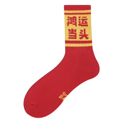 Happy Year Premium Quality Custom Mulit Designed Winter Warm Socks Couple Christmas Red Socks