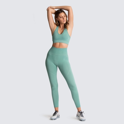 New Style Wholesale Sport Suit Women Fitness Clothing Sport Wear Yoga Set Gym Sportswear Running Leggings Women Set