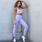 New Style Wholesale Sport Suit Women Fitness Clothing Sport Wear Yoga Set Gym Sportswear Running Leggings Women Set